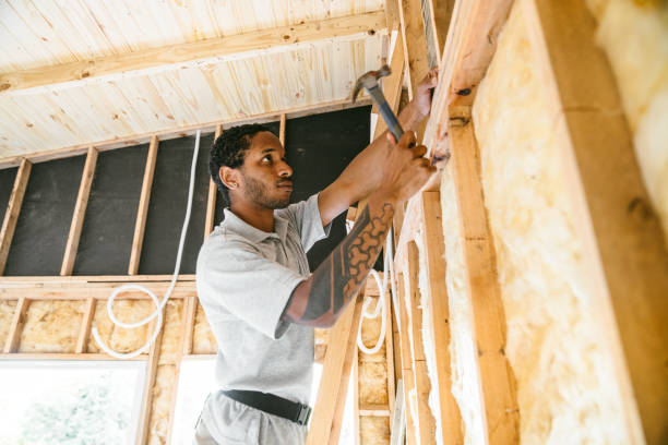 Best Cellulose Insulation  in Rensselaer, IN