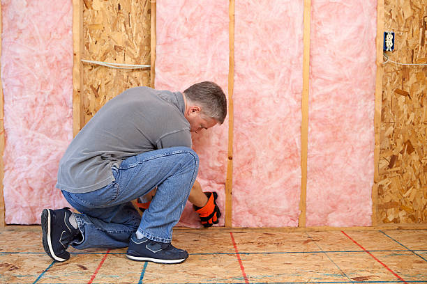 Best Energy-efficient Insulation  in Rensselaer, IN